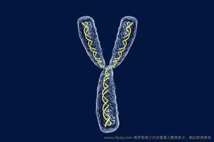 俄罗斯做三代试管婴儿费用多少，相比欧洲贵吗
