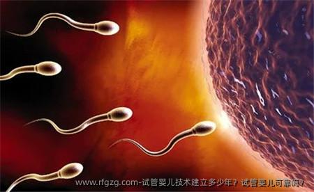 代孕技术建立多少年？代孕可靠吗？