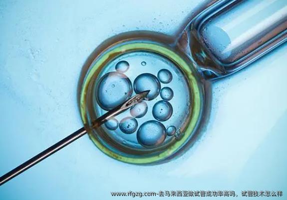 去马来西亚做试管成功率高吗，试管技术怎么样