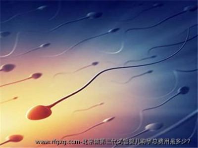 北京做第三代代孕助孕总费用是多少？