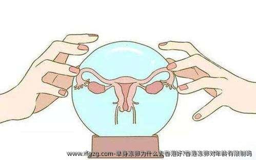 单身雪藏卵为什么去香港好?香港雪藏卵对年龄有限制吗？