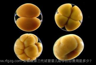 安徽做第三代试管婴儿助孕的总费用是多少？