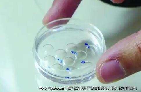 北京家恩德运可以做代孕吗？成功率高吗？