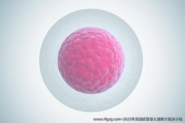 2025年美国代孕费用大概多少钱