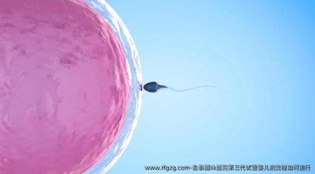 去泰国kk医院第三代代孕的流程如何进行