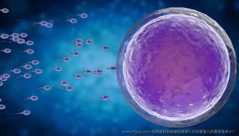 陕西省妇幼保健院做第三代代孕的费用是多少？