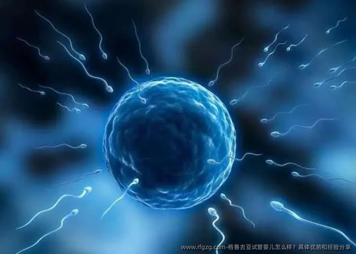 格鲁吉亚代孕怎么样？具体优势和经验分享