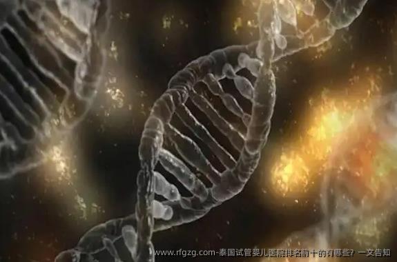 泰国代孕医院排名前十的有哪些？一文告知