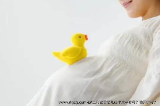 EK三代代孕技术水平咋样？费用咋样？