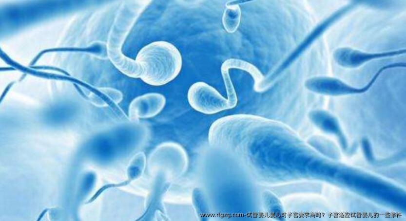 代孕婴儿对子宫要求高吗？子宫适应代孕的一些条件