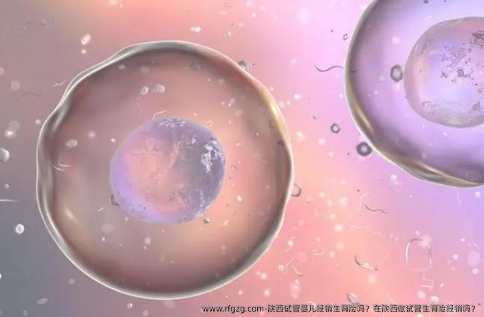 陕西代孕报销生育险吗？在陕西做试管生育险报销吗？