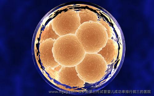 俄罗斯第三代代孕成功率排行前三的医院