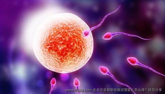 去吉尔吉斯斯坦做代孕怎么样？经历分享