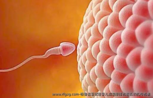 格鲁吉亚代孕成功率排名前五的机构名单