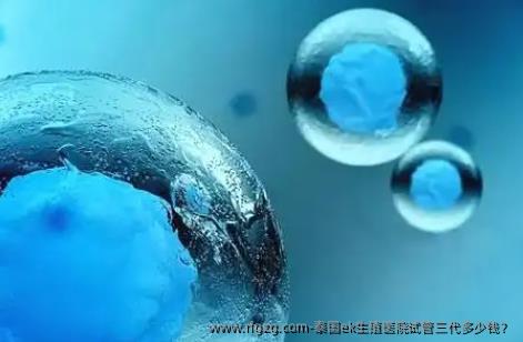 泰国ek生殖医院试管三代多少钱？
