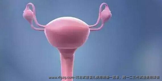 河北代孕费用明细一览表，附一二三代试管费用详情