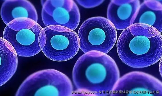 女性患多囊卵巢试管手术促排用什么方案