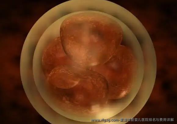 巢湖代孕医院排名与费用详解