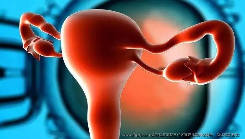 北京私立医院三代代孕费用全解析，助你预算无忧！