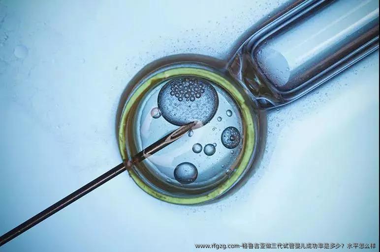 格鲁吉亚做三代代孕成功率是多少？水平怎么样