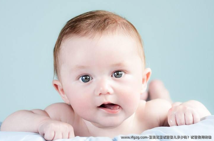 亚美尼亚代孕多少钱？试管费用明细