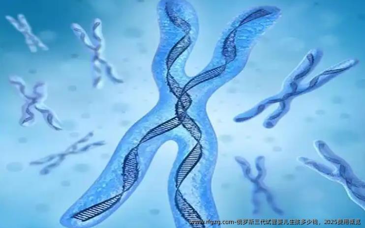俄罗斯三代试管婴儿生孩多少钱，2025费用概览