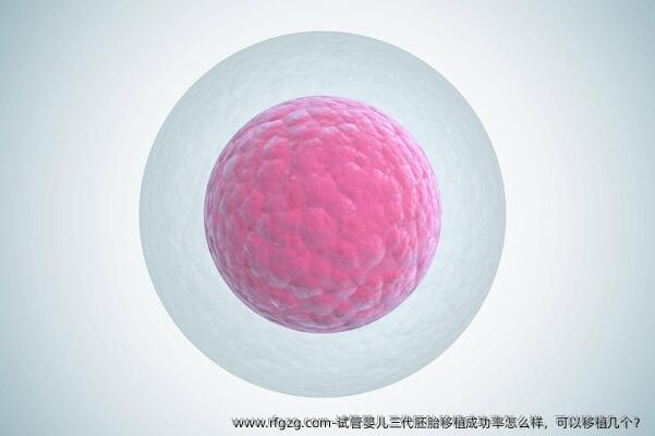 代孕三代胚胎移植成功率怎么样，可以移植几个？