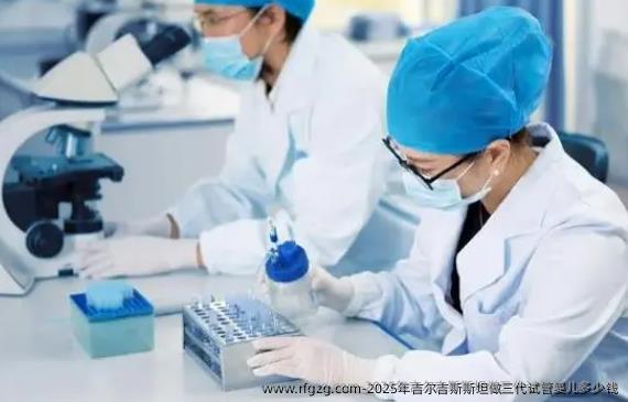 2025年吉尔吉斯斯坦做三代代孕多少钱