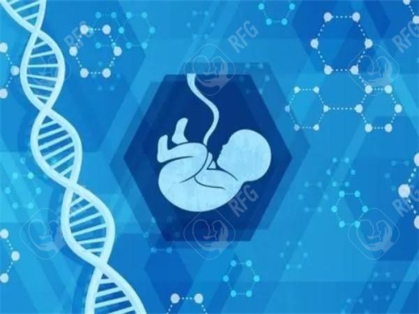 2025年在广州市做试管生孩子要多少钱？广州市代孕技术水平如何？