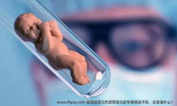 泰国做第三代代孕助孕费用贵不贵，主要看什么？
