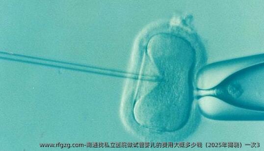 南通找私立医院做代孕的费用大概多少钱（2025年揭晓）一次3