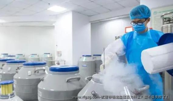 试管移植出血这是为什么？是不是失败了？ 