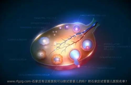 石家庄有正规医院可以做代孕的吗？附石家庄代孕医院名单？