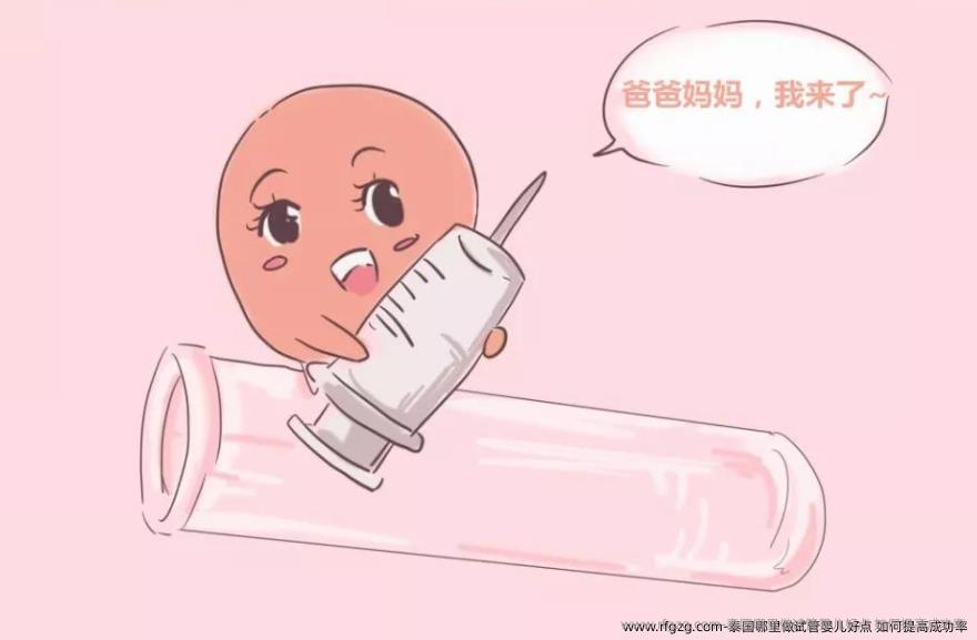 泰国哪里做代孕好点 如何提高成功率