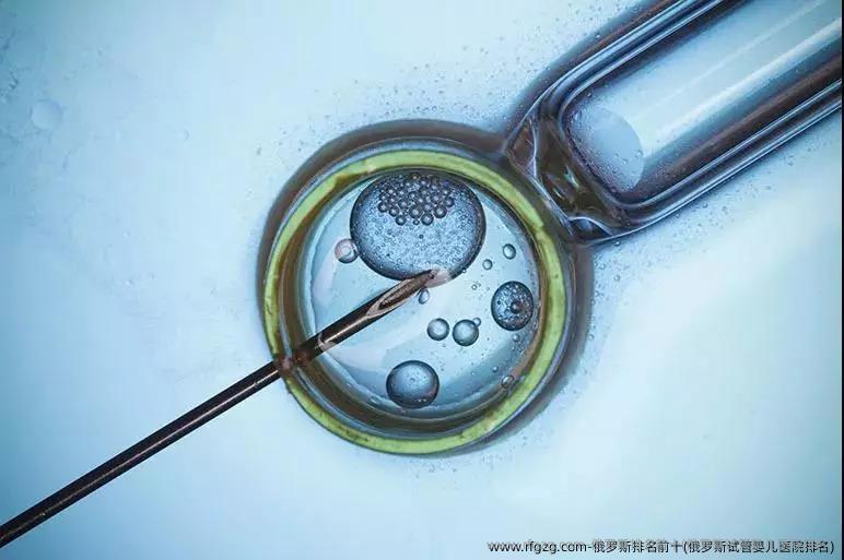 俄罗斯排名前十(俄罗斯代孕医院排名)