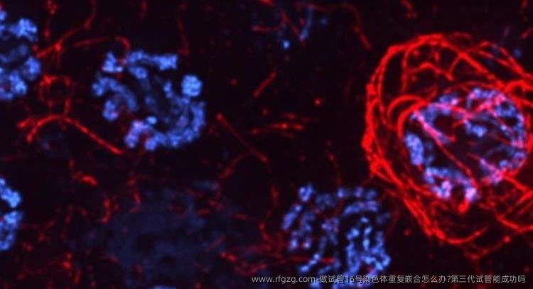 做试管16号染色体重复嵌合怎么办?第三代试管能成功吗？