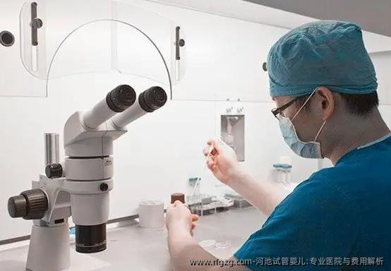 河池代孕:专业医院与费用解析