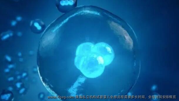 珠海私立机构代孕全部流程需要多长时间，全程时间安排概览