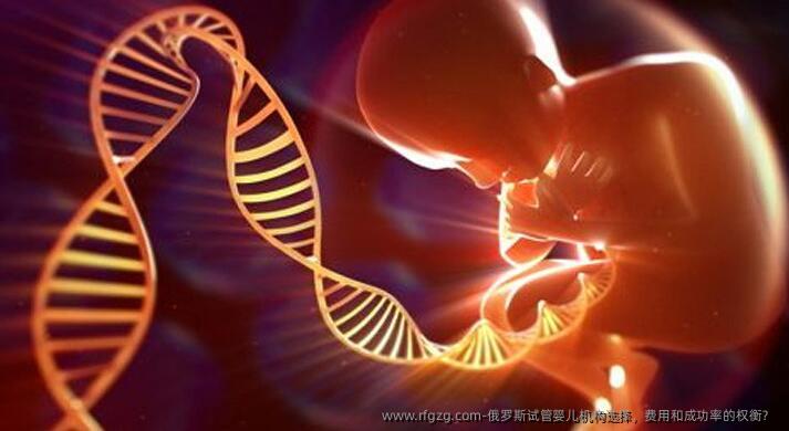 俄罗斯代孕机构选择，费用和成功率的权衡？ 