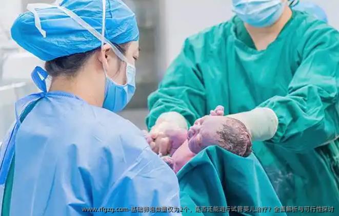 基础卵泡数量仅为2个，是否还能进行代孕治疗？全面解析与可行性探讨