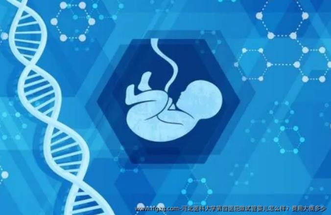 河北医科大学第四医院做代孕怎么样？费用大概多少